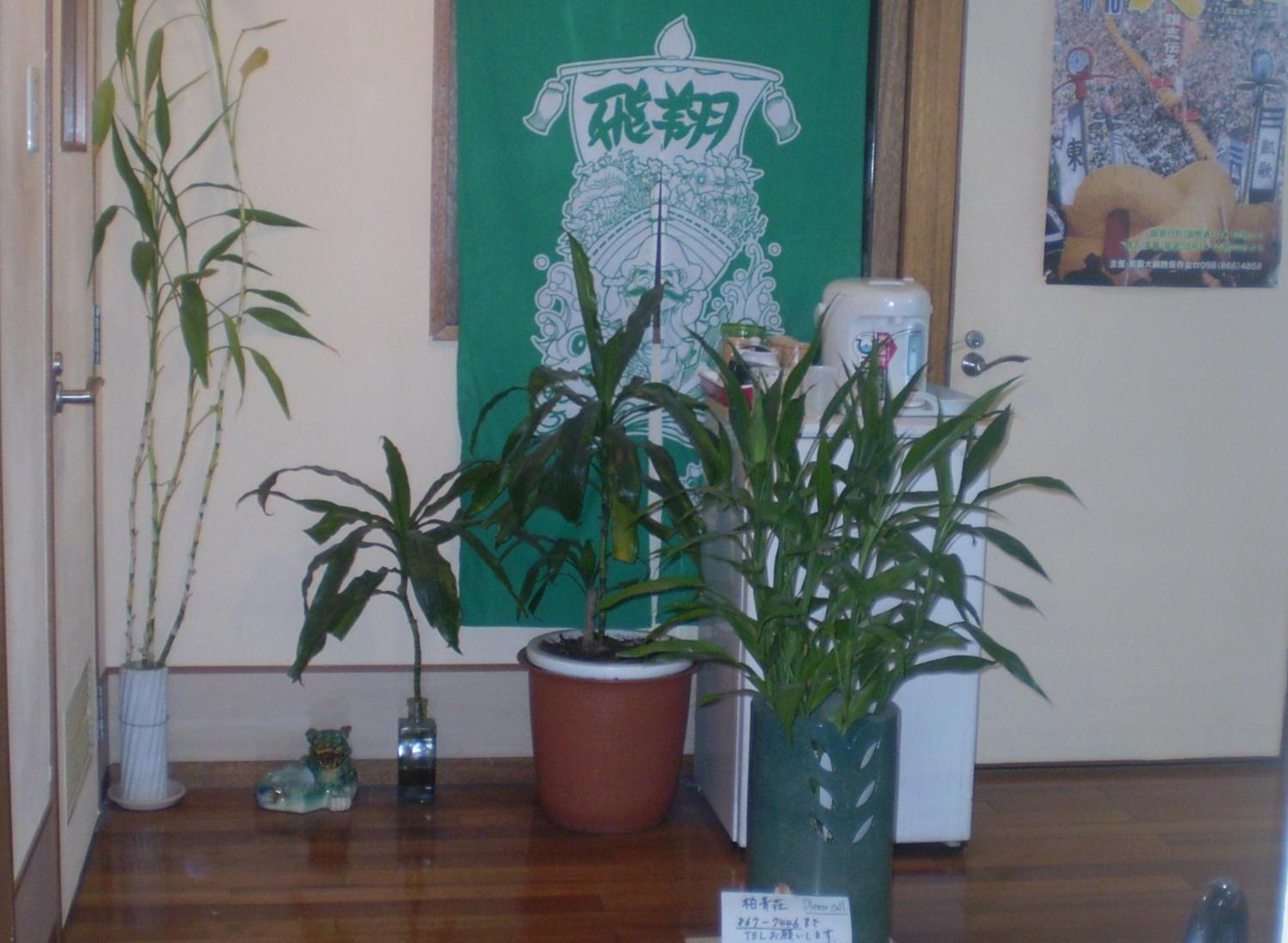 Hostel Hakuseiso Naha Exteriör bild
