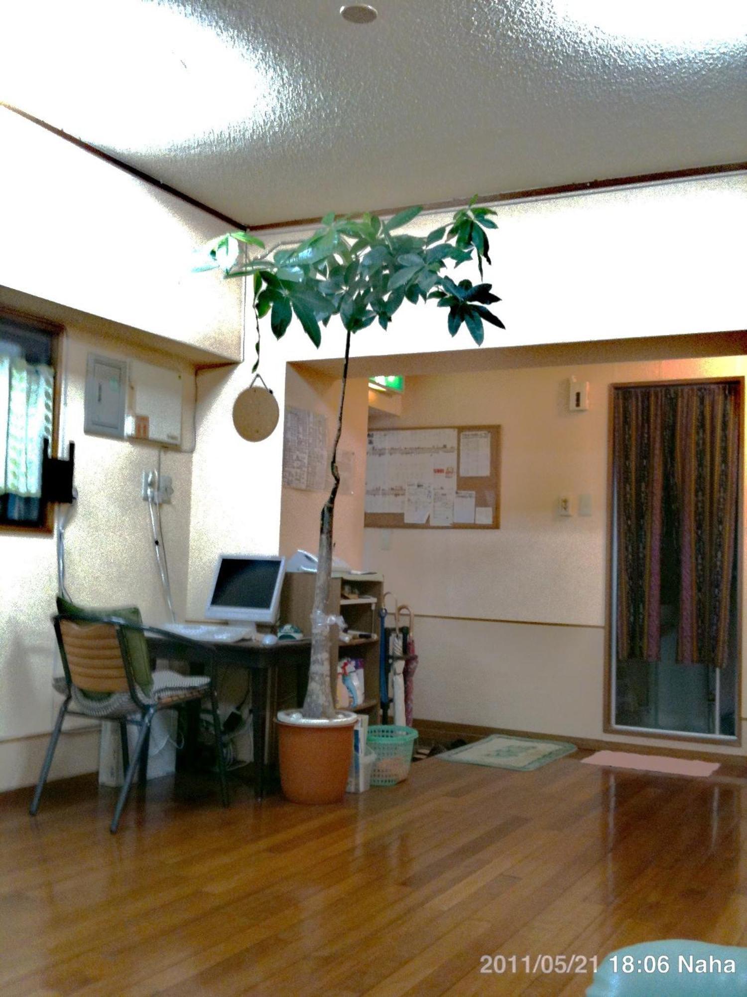 Hostel Hakuseiso Naha Exteriör bild